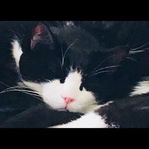 Meet your Posher, Christina